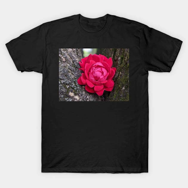 Pink Flower in Tree 1 T-Shirt by AustaArt